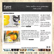 Newsletter para Expirit. Design, Graphic Design, and Web Design project by virginia - 02.02.2014