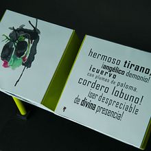 Lecturanza. Editorial Design, Graphic Design, and Packaging project by Fernanda Rojas - 02.04.2014