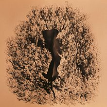 Placeridad. Art Direction, Graphic Design, and Traditional illustration project by Fernanda Rojas - 02.04.2014