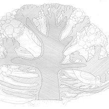 ilustración coliflor. Un proyecto de Bellas Artes e Ilustración tradicional de Joana Millán Marcoval - 10.04.2008