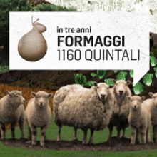 COLONIA Ein Projekt aus dem Bereich Animation und Traditionelle Illustration von Barbara Carcangiu - 09.11.2013