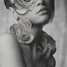 Florescer –Mutatio– . Fotografie de Laura Racero - 01.31.2013