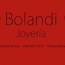 Imagen digital para Joyería Bolandi. Br, ing & Identit project by Sebastian Gonzalez - 02.11.2014