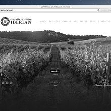 Web Vinos Iberian. Web Development, and Design project by LeBranders Global Design Solutions - 02.12.2014