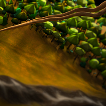 Demo Reel - Gea Shortfilm . 3D, Dan Animasi proyek oleh Rosa Miraflores - 01.31.2014