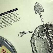 Festival de Cine de Madrid - PNR. Br, ing, Identit, Film, Video, TV, and Art Direction project by Pipo & Astutto - 02.18.2014