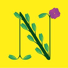 La Llotja Natural . Creative Consulting, Graphic Design, and Advertising project by Carla Blanch Rodriguez - 02.23.2014