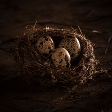 Bodegon - Producto . Een project van  Reclame, Artistieke fotografie, Studiofotografie, Modefotografie, Productfotografie, Culinaire fotografie, Commerciële fotografie y  Fotografische verlichting van Davit Foto - 26.02.2014