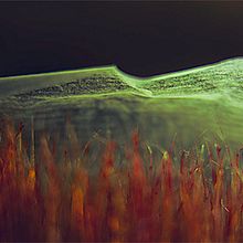 Paisajes a mano. Fine Arts, Photograph, L, and scape Architecture project by Nacho Planes - 03.03.2014