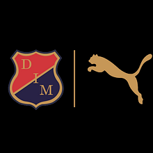 DIM CENTENARIO. Marketing project by Juan Guillermo Rodríguez Reyes - 03.03.2014