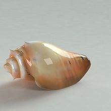 Caracol. 3D project by Yordany Ovalle Muñoz - 03.09.2014