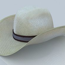Sombrero. 3D project by Yordany Ovalle Muñoz - 03.09.2014