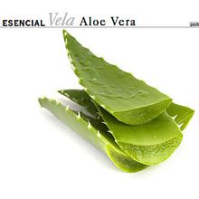 Web  Adisco. Web Development, Design, Graphic Design, and Web Design project by Rafael Cachos Calvo - 01.05.2012