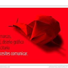 Creación de la web caracolrojo.net. Web Development, Design, and Web Design project by Rafael Cachos Calvo - 09.13.2013