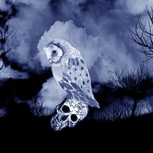 Curuxa.Técnica mixta. Traditional illustration project by Emma Jimeno - 03.11.2014