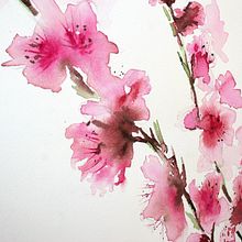 Peach flowers. Fine Arts, Traditional illustration, and Painting project by Silvia Cairol - 03.12.2014