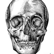 Anatomía. Traditional illustration project by María Reos Giménez - 03.09.2013
