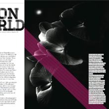 Maquetación Revista Frames Magazine. Editorial Design project by Natalia Martín - 03.13.2014