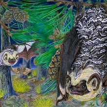 Guía Ilustrada de la Mastofauna de la Delegación Magdalena Contreras, Distrito Federal en México.. Un progetto di Illustrazione tradizionale di Jaén Sandoval Quintero - 21.11.2011