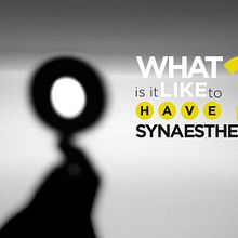 SYNAESTHESIA. Graphic Design, and Photograph project by Jorge Cucalon - 11.25.2013