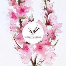 Flor de presseguer. Br, ing, Identit, Art Direction, Design, Traditional illustration, and Painting project by Silvia Cairol - 03.23.2014