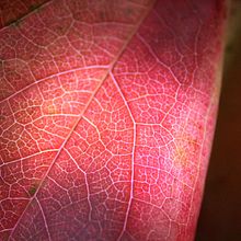 Micro_espacio. Photograph project by Mireia Miralles - 06.11.2014