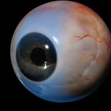 Eye. Un proyecto de Diseño, Cine, vídeo y televisión de Jesús Bernalte - 15.09.2017