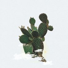 Super Cactus. Graphic Design project by lander telletxea Armendariz - 04.13.2014