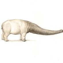 ESTROS. Artes plásticas e Ilustração tradicional projeto de ALBERTO MARCOS BARBADO - 21.04.2014