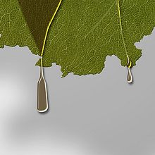 Terras Gauda. Graphic Design project by Edi Vieito Giráldez - 04.26.2010