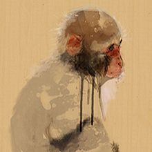 Macaco I. Fine Arts project by Elisa Ancori - 05.07.2014