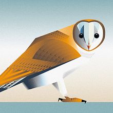 Nuevo proyecto. Un proyecto de Diseño editorial y Diseño gráfico de moebo estudio - 07.05.2014