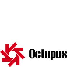 Octopus. Br, ing, Identit, Graphic Design, T, and pograph project by Marcelo Bordas - 12.31.2003