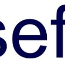 SEFISA  and various projects: Web image and design, logos. Un progetto di Consulenza creativa e Graphic design di Moca Images - 13.05.2014