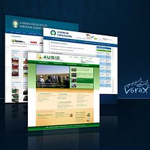 Diseño y Desarrollo Web - Web Design. Br, ing, Identit, Web Development, Design, Web Design, and UX / UI project by José Ismael Ferreira Graside - 05.13.2018