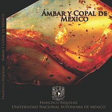 Libro Ámbar y copal de México. Editorial Design project by Ana Veneno - 09.30.2013
