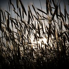 Sonia Morcuende. Photograph project by jose carlos caballero - 05.18.2014