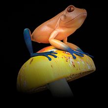 Rana. 3D project by susimor - 05.18.2014