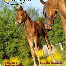 la Corneta - Revista Gratuita de la Sierra Norte. Un proyecto de Diseño de maquetok martín - 22.05.2014