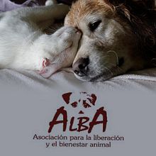 Banners. Design projeto de Eva Serrano - 25.05.2014