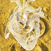 Fotomontajes para poemario (Ediciones en Huida). Design, Design editorial, Design gráfico, Ilustração tradicional, e Tipografia projeto de Aurora Tristán - 25.05.2014