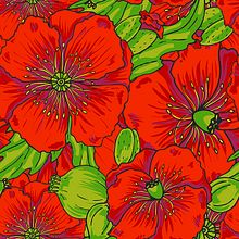 Poppies. Un progetto di Packaging e Pittura di Oxana Kostromina - 28.05.2014