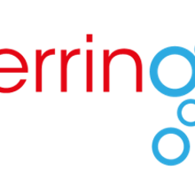 Red hering Safes, propuestas de logotipos. Un proyecto de Diseño gráfico de Alejandro Fraile Mouteira - 01.06.2014