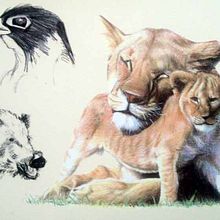 ILUSTRACION EDITORIAL. Projekt z dziedziny Trad, c i jna ilustracja użytkownika Esteban Fernández - 02.06.2014