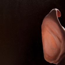 CABEZA DE CERDO Ein Projekt aus dem Bereich Traditionelle Illustration und Malerei von AITOR ROLLAN - 11.01.2014