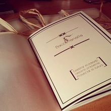 Dossieres Bacchanalia. Design project by Eva - 06.12.2014