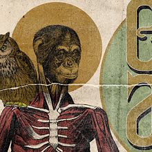 ENOCH ARDON + FUKUSHIMA | poster. Design, Graphic Design, Traditional illustration, and Advertising project by alejandro escrich - 12.25.2013