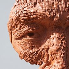 El Hombre Corteza. Sculpture project by Eduardo Aros - 06.22.2014