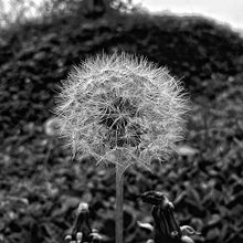 Fotos de campo, ediciones y efectos!. Photograph project by Fernando Cardona Osorio - 06.26.2014