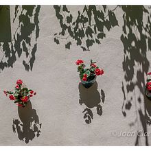 Detalles . Un proyecto de Fotografía de joan_claramonte - 07.07.2014